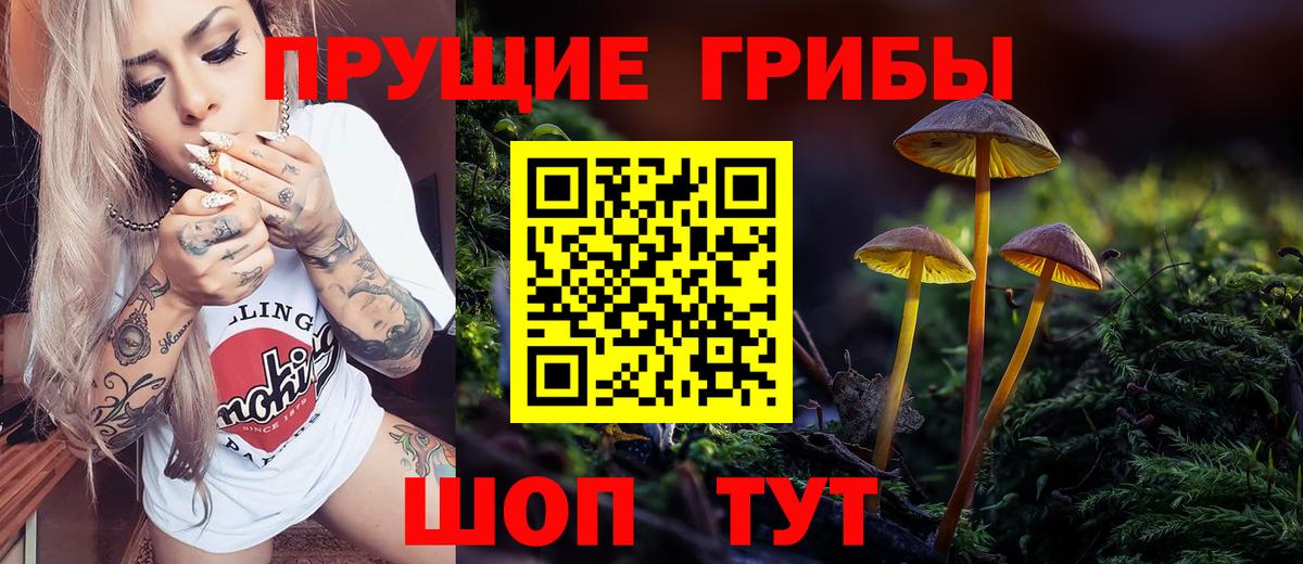 Псилоцибиновые грибы Cubensis Кирово-Чепецк